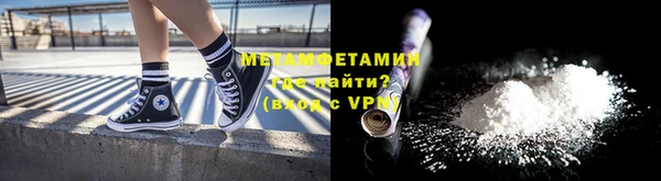 индика Бородино
