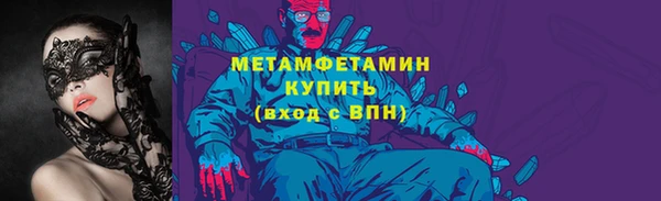 индика Бородино