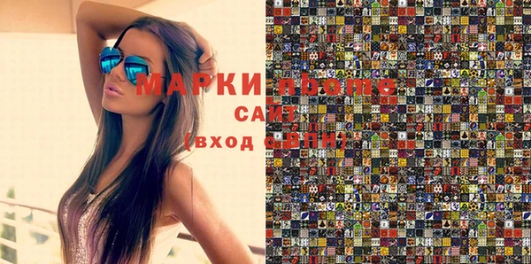 индика Бородино
