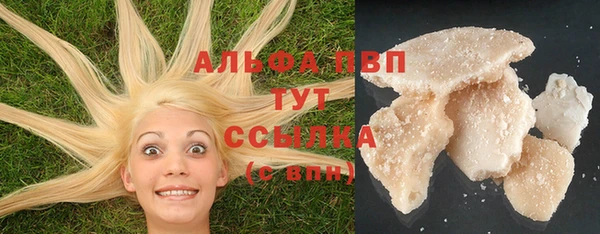 индика Бородино