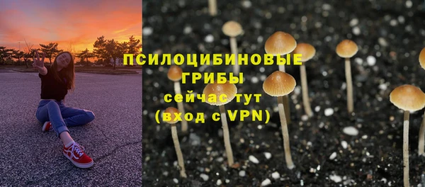 ALPHA-PVP Верея