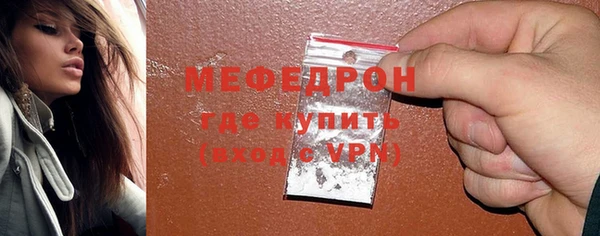 индика Бородино