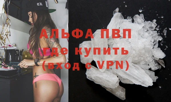 индика Бородино