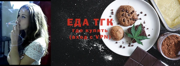 индика Бородино